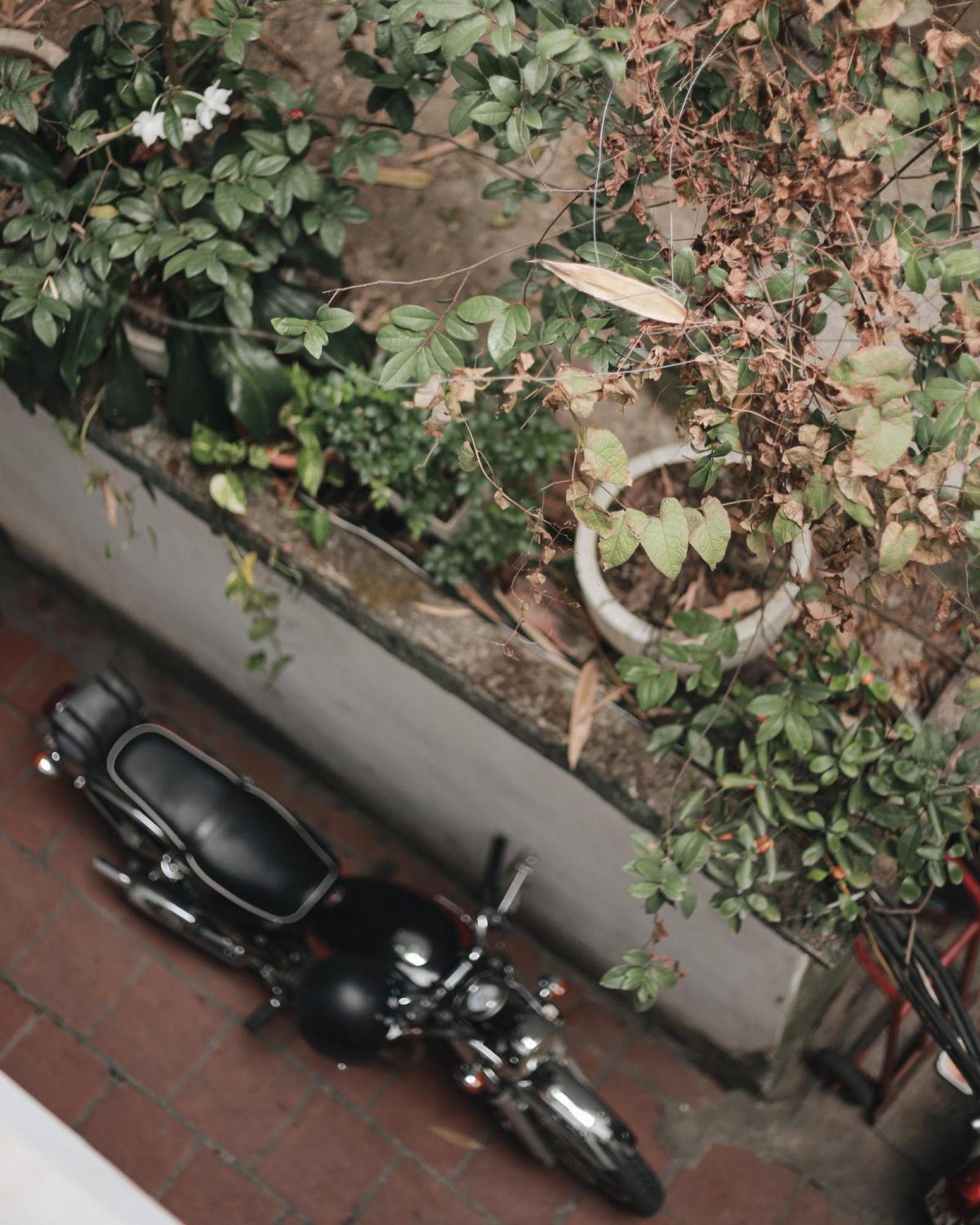Hidden Gem Homestay 2 Hanoi Eksteriør bilde